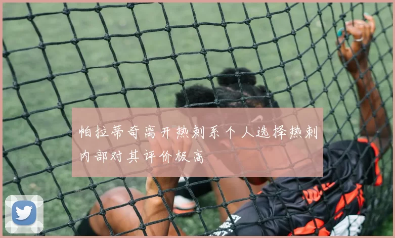 帕拉蒂奇离开热刺系个人选择热刺内部对其评价极高