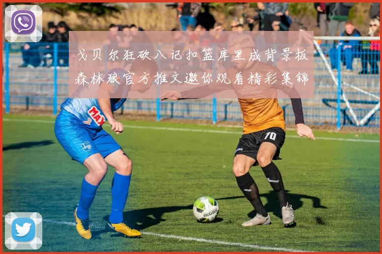 戈贝尔狂砍八记扣篮库里成背景板森林狼官方推文邀你观看精彩集锦