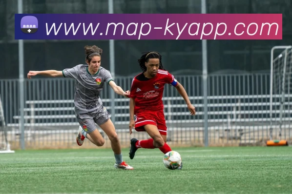 开云体育平台生态图